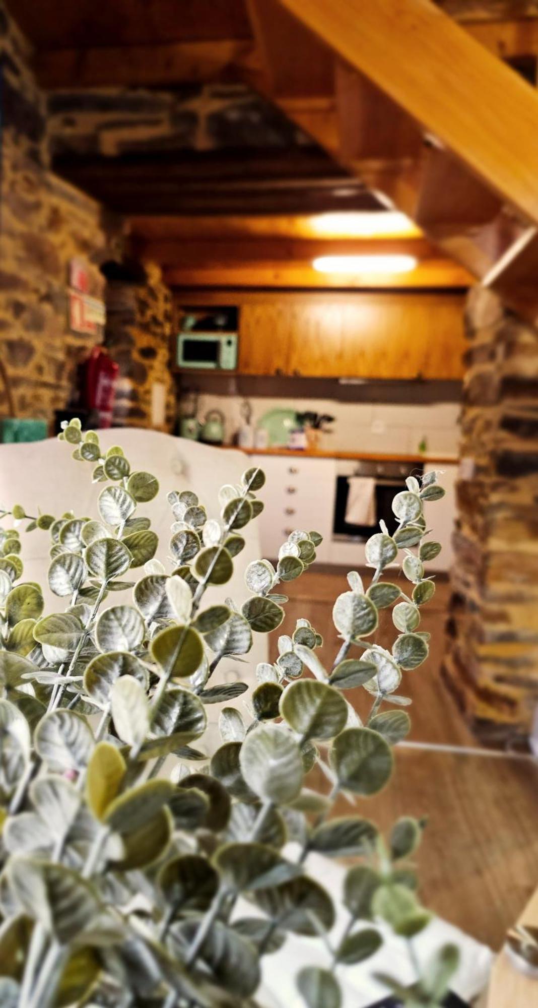 Pampihouse, Luxury Rustic House Near River Pampilhosa da Serra Exterior photo